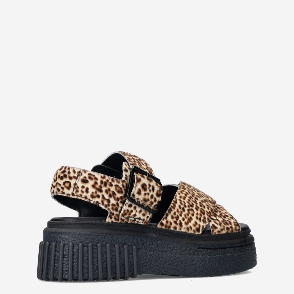 10925_Clarks__Dames_325