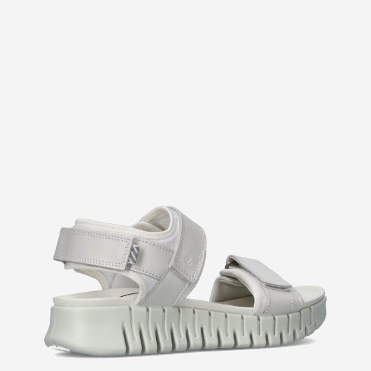 11003_ECCO__Dames_325