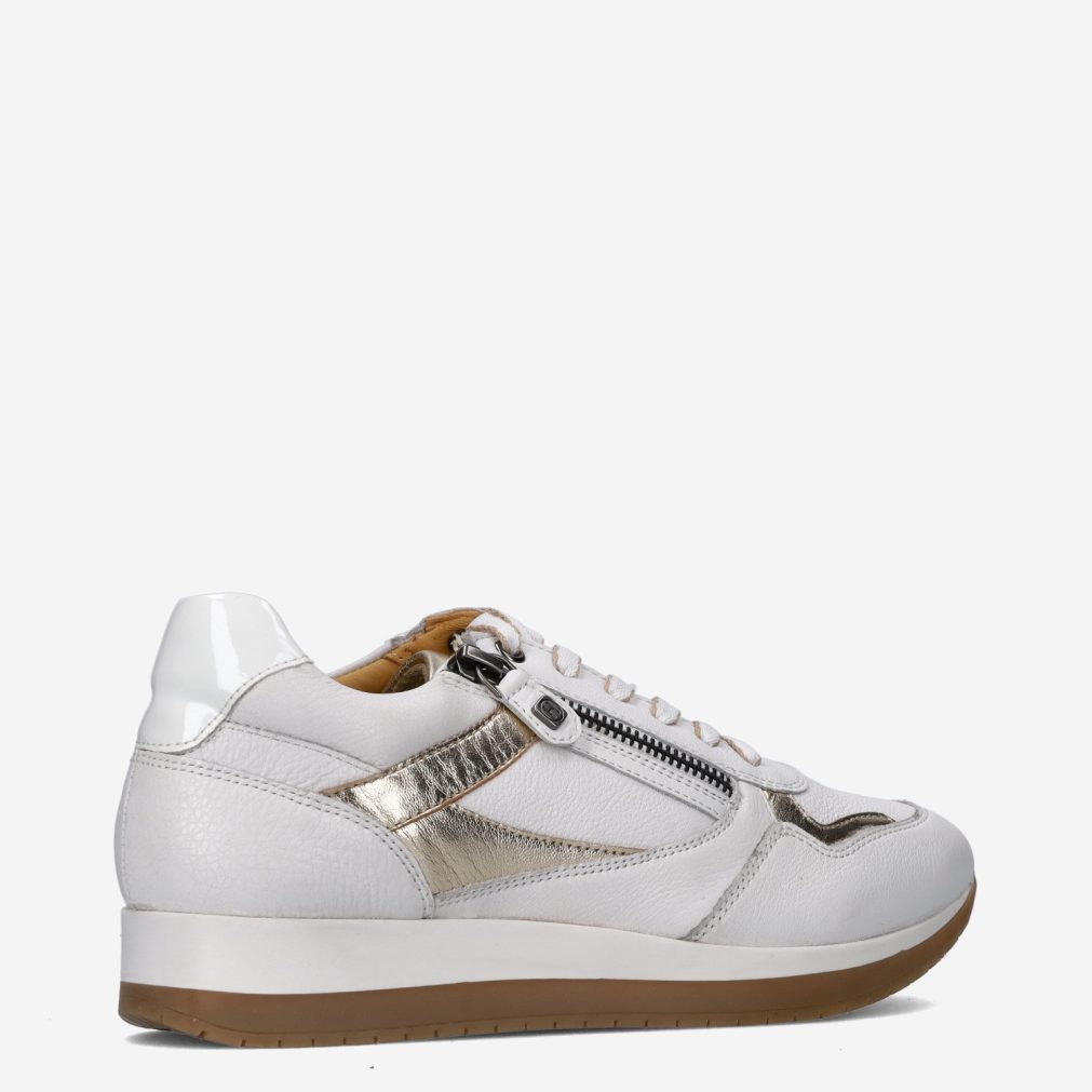 11089_Helioform__Dames_325