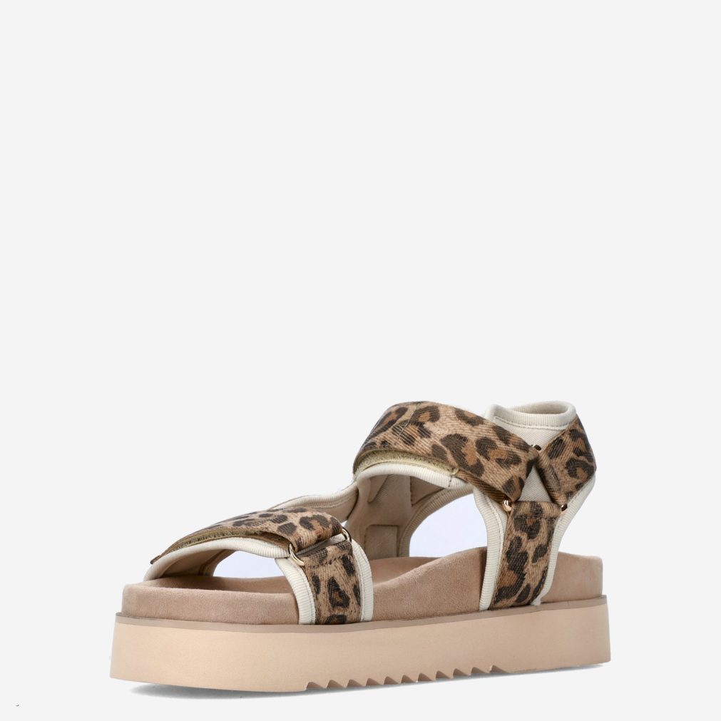 11167_Maruti__Dames_135