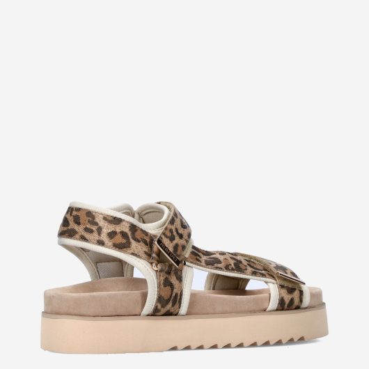 11167_Maruti__Dames_325