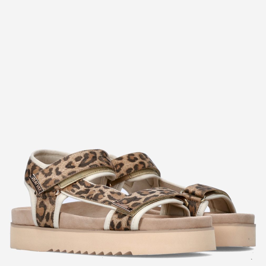 11167_Maruti__Dames_35