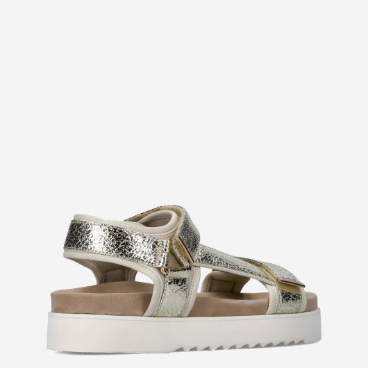 11168_Maruti__Dames_325