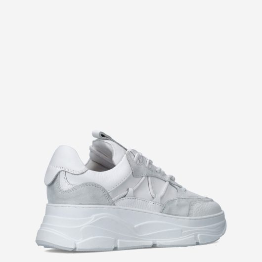 11504_Posh__Dames_325