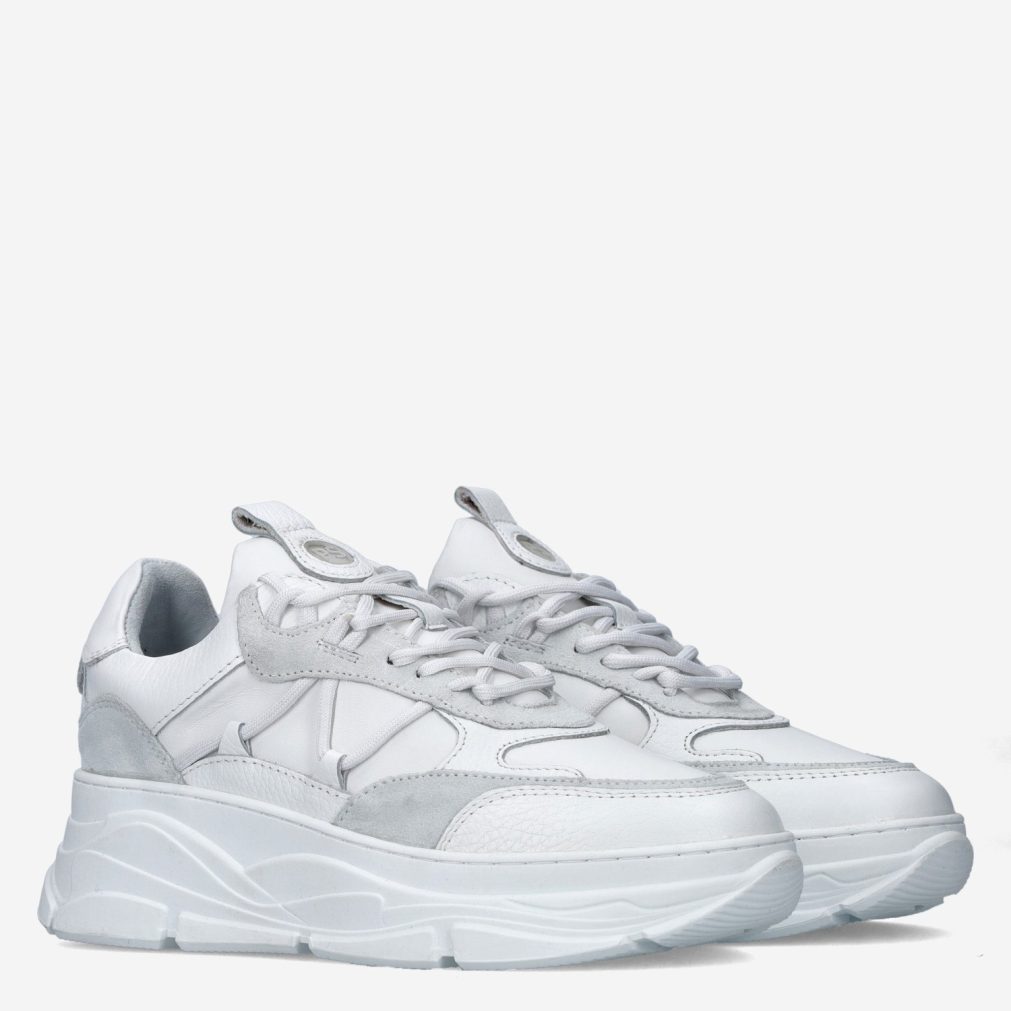 11504_Posh__Dames_35