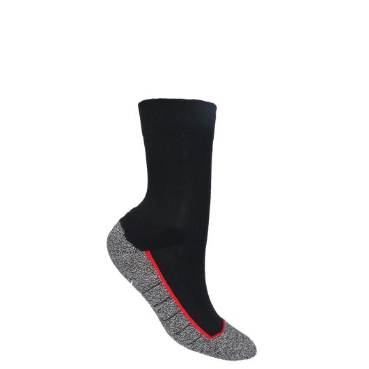 4627-Thermo-MS-3-0-1.2