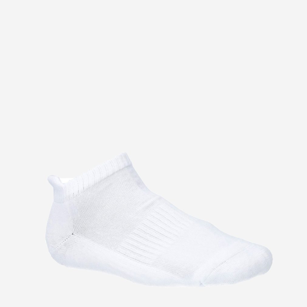 8909_Apollo__Dames_40