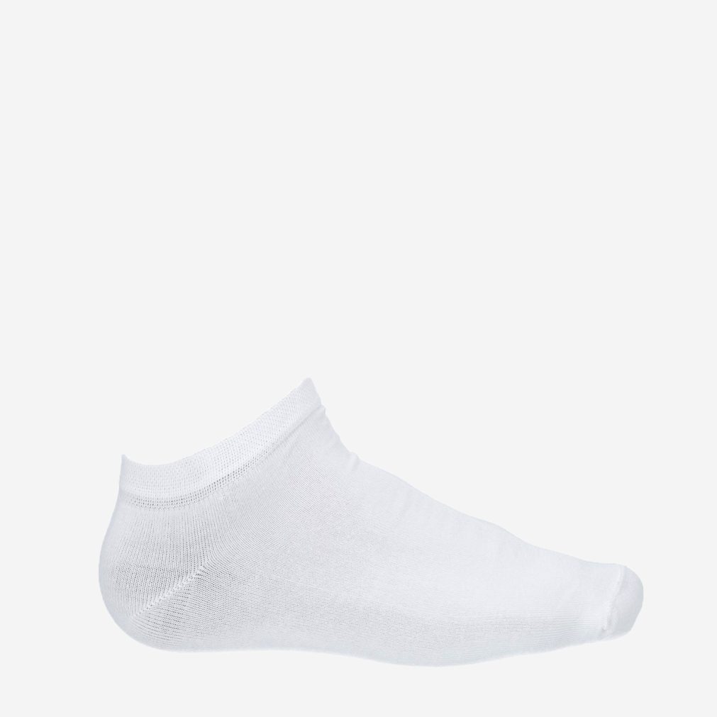 8917_Apollo__Heren_1